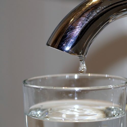 Tips to Reduce Your Water Usage