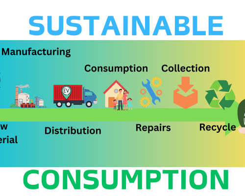 The Ethical Dilemma of Sustainable Consumption in a Developing Nation