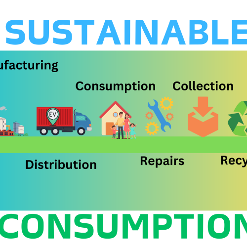 The Ethical Dilemma of Sustainable Consumption in a Developing Nation